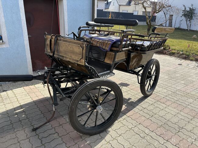 Zwei Haflinger und Kutsche, Ebner Franz, Pferd kaufen, Schrattenberg, Abbildung 11