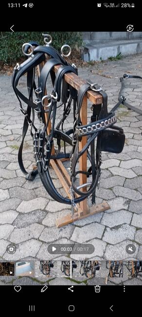 Zweispänner Geschirr Haflinger, Christina Droste , Kutschgeschirr, Lennestadt, Abbildung 3