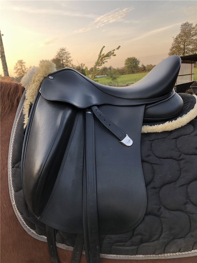 ᐅ Used Bates Innova Dressursattel dressage saddle 16,5 17 inch from