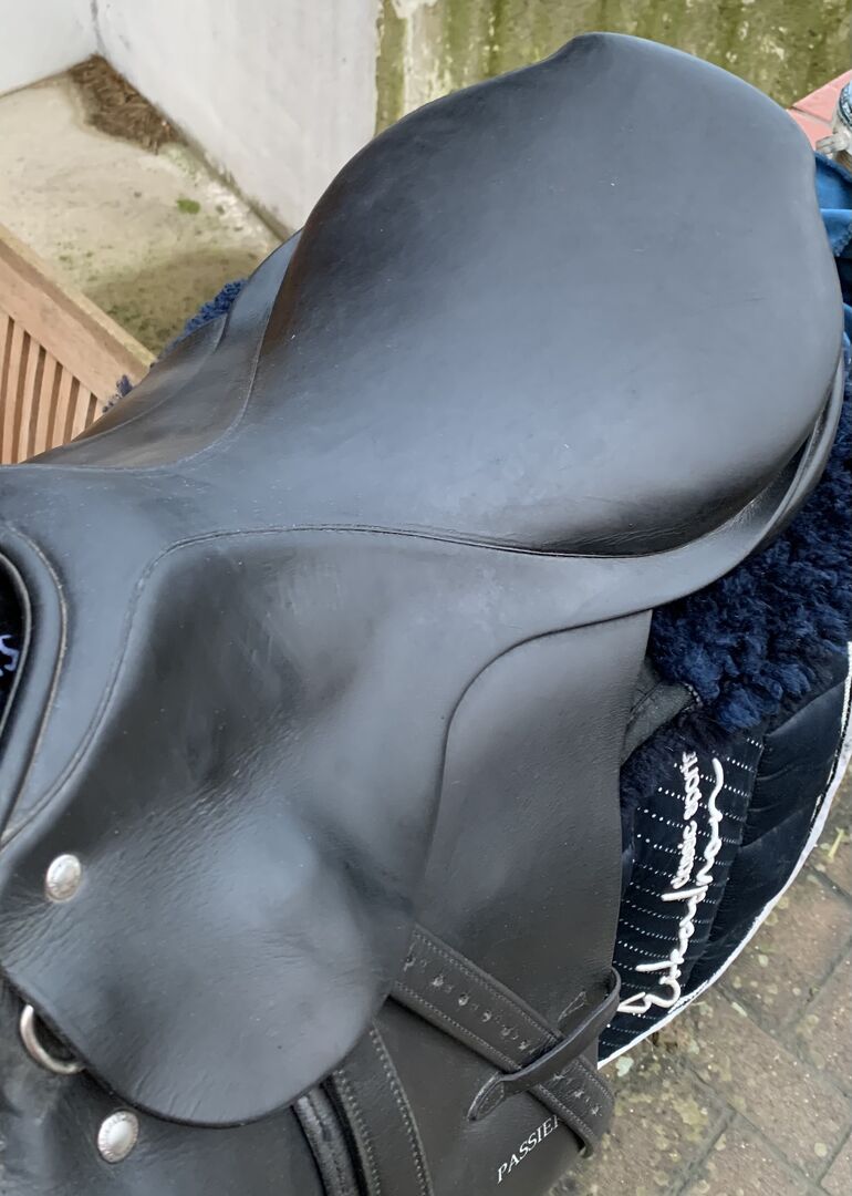Used Passier Pegasus Jumping Saddle from Sandra ᐅ