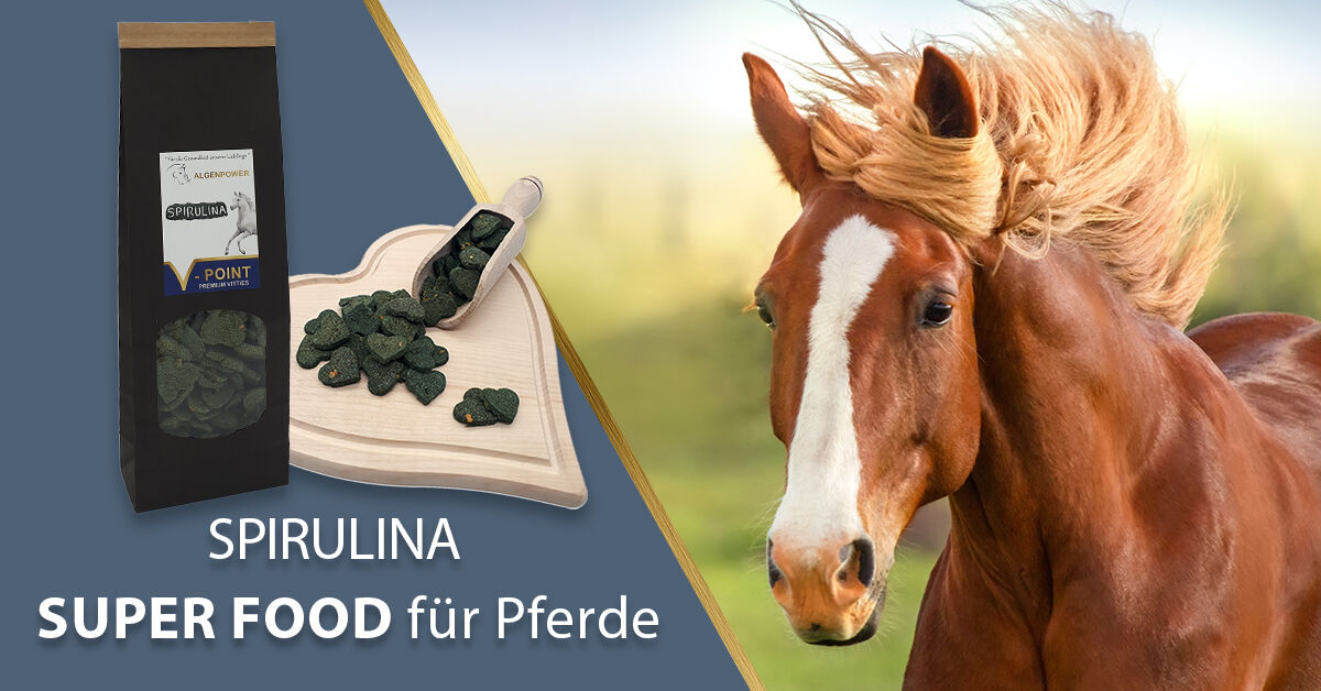 ᐅ New VPOINT VPPFSPIR5001 SPIRULINA Premium Vitties for horses from VPOINT premium pet